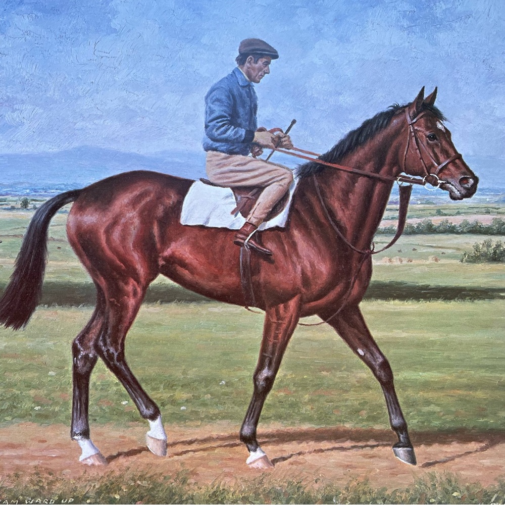 Richard Stone Reeves print book page Nijinsky thoroughbred horse racing art vtg